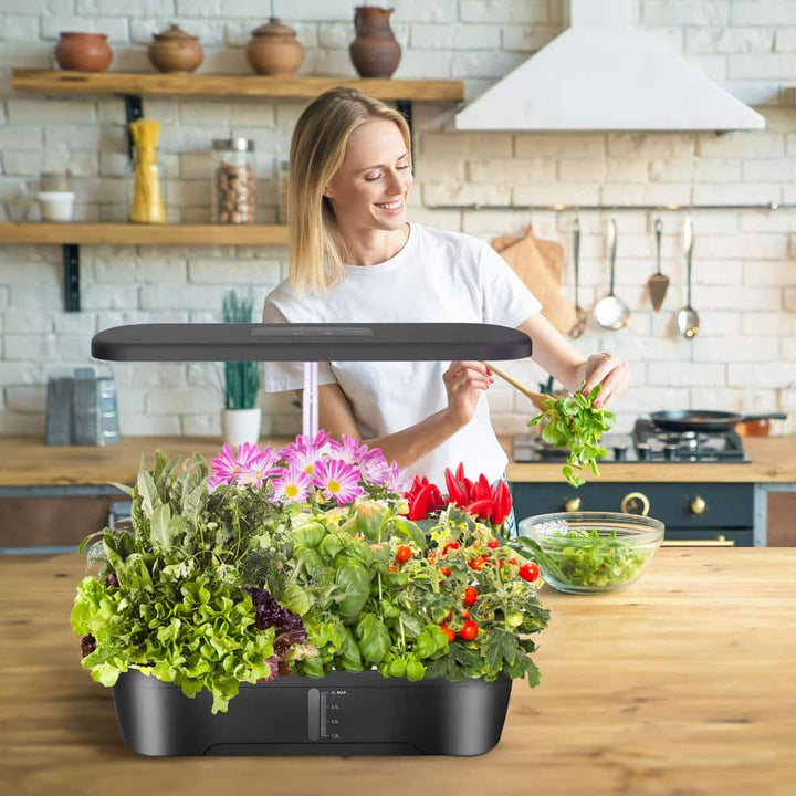 Hydroponic Garden System | 12 Pod Indoor Growing Kit