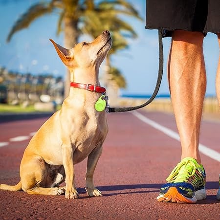 Smart Pet GPS Tracker | Bluetooth Location Device For Collars
